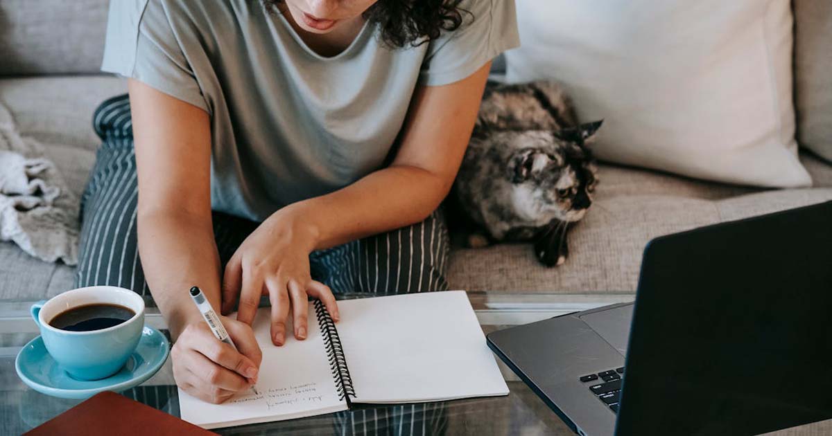 Checklist rápida para una mascota perdida
